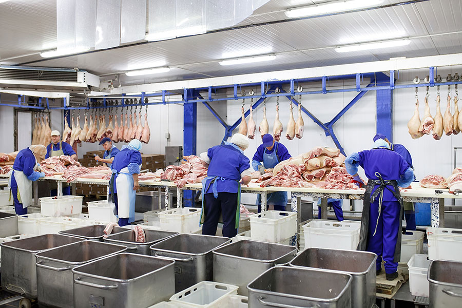 La traçabilité alimentaire